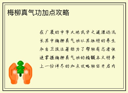 梅柳真气功加点攻略